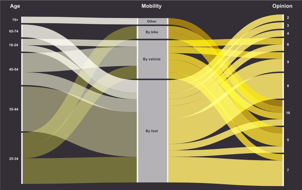 Figure 1. Pedestrian classification by age, mobility mode, and opinion.