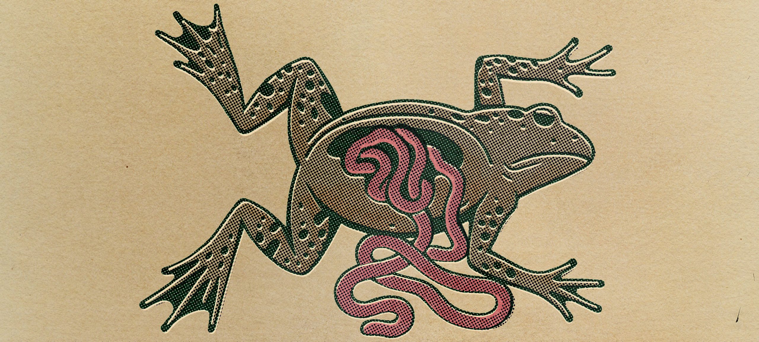 02 The Insignificant Others