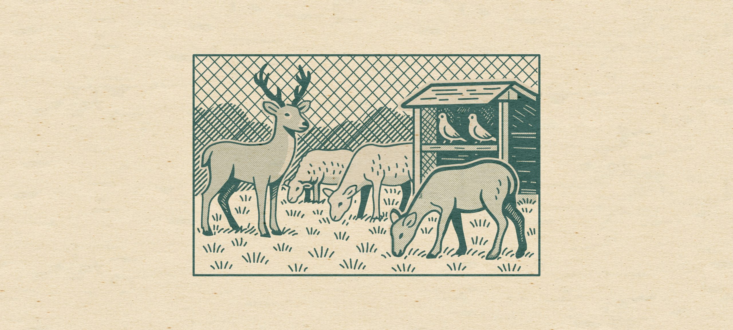 03 Urban Animal Enclosures