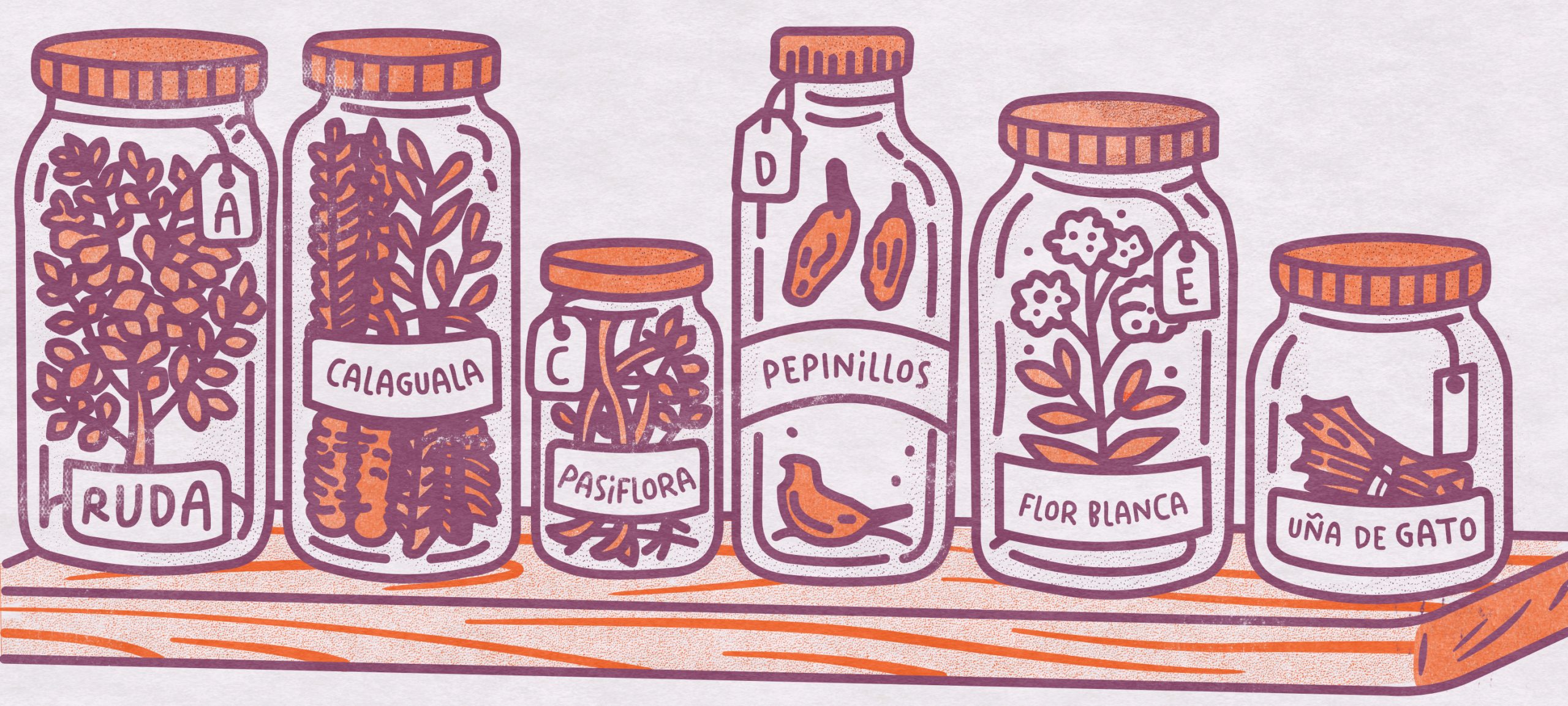 Six Specimens, Many Classifications